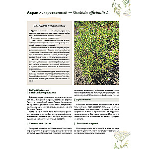 Herbalist. The Great Encyclopedia of Medicinal Plants