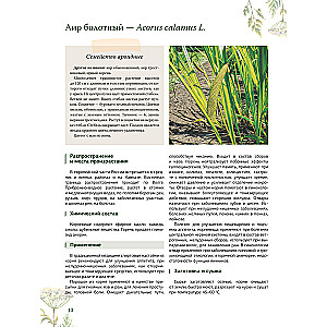 Herbalist. The Great Encyclopedia of Medicinal Plants