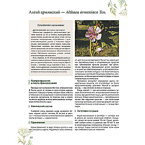 Herbalist. The Great Encyclopedia of Medicinal Plants