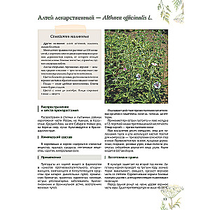 Herbalist. The Great Encyclopedia of Medicinal Plants