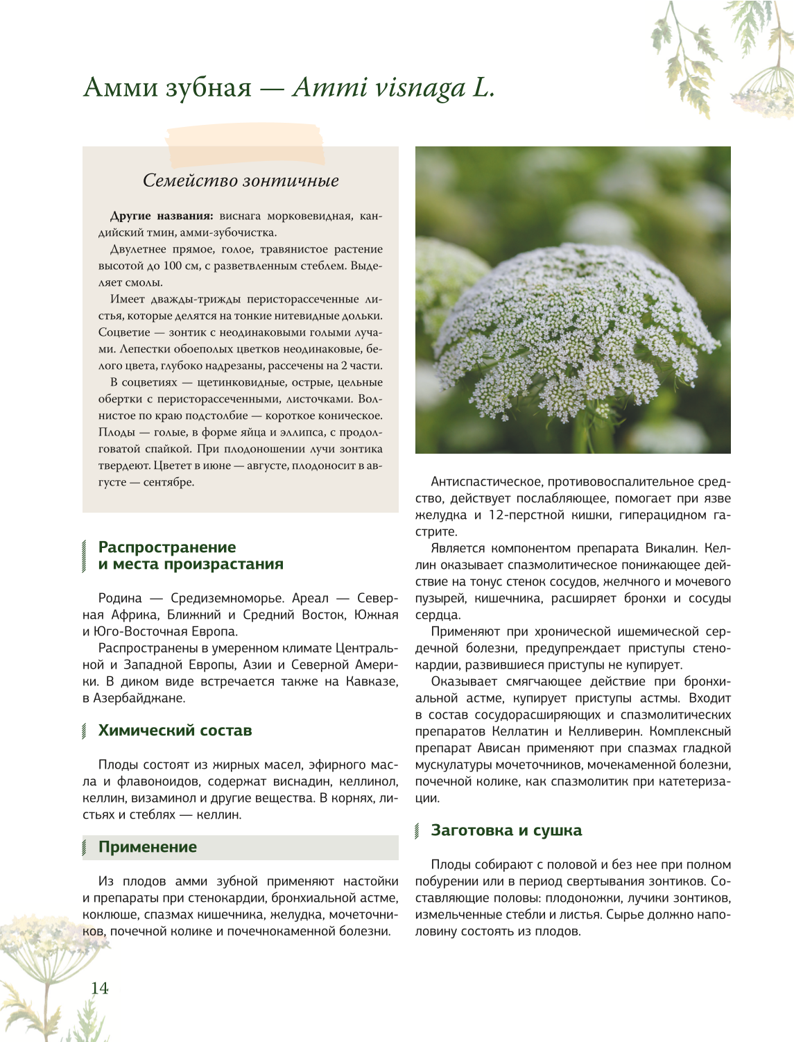 Herbalist. The Great Encyclopedia of Medicinal Plants