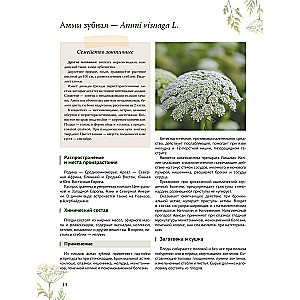 Herbalist. The Great Encyclopedia of Medicinal Plants
