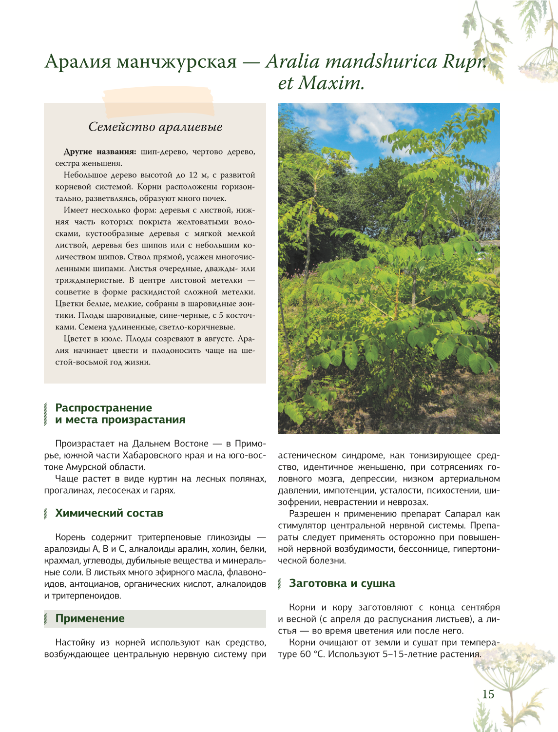 Herbalist. The Great Encyclopedia of Medicinal Plants
