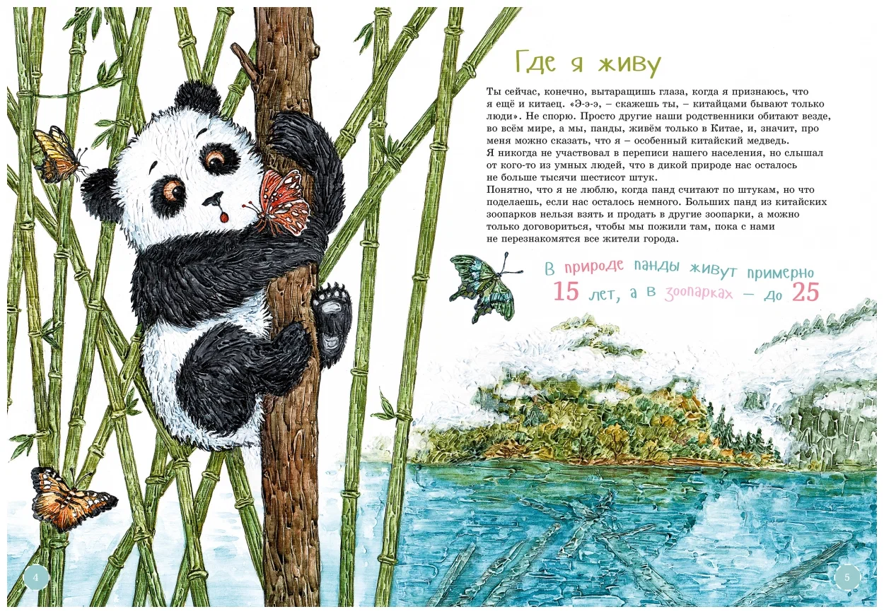 Jestem dużą pandą