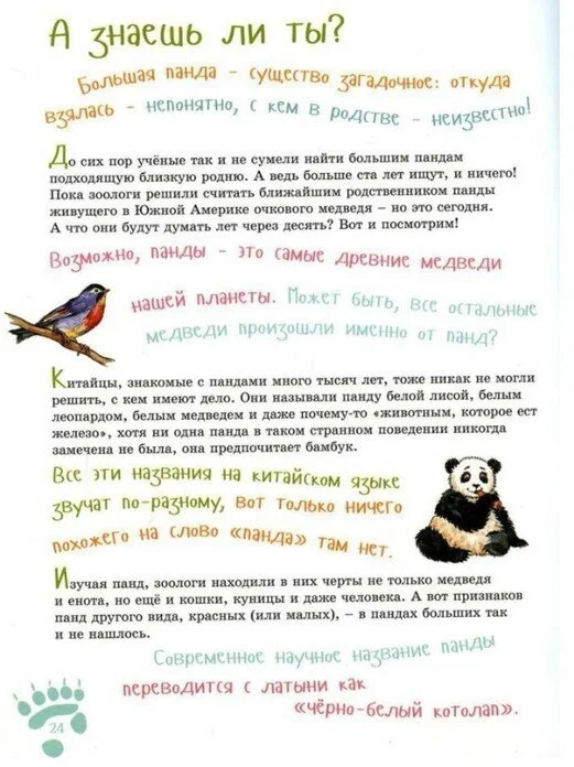 Jestem dużą pandą