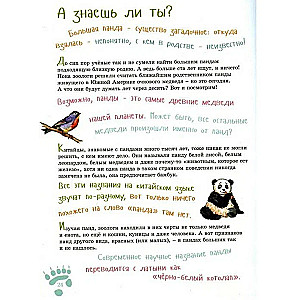 Jestem dużą pandą