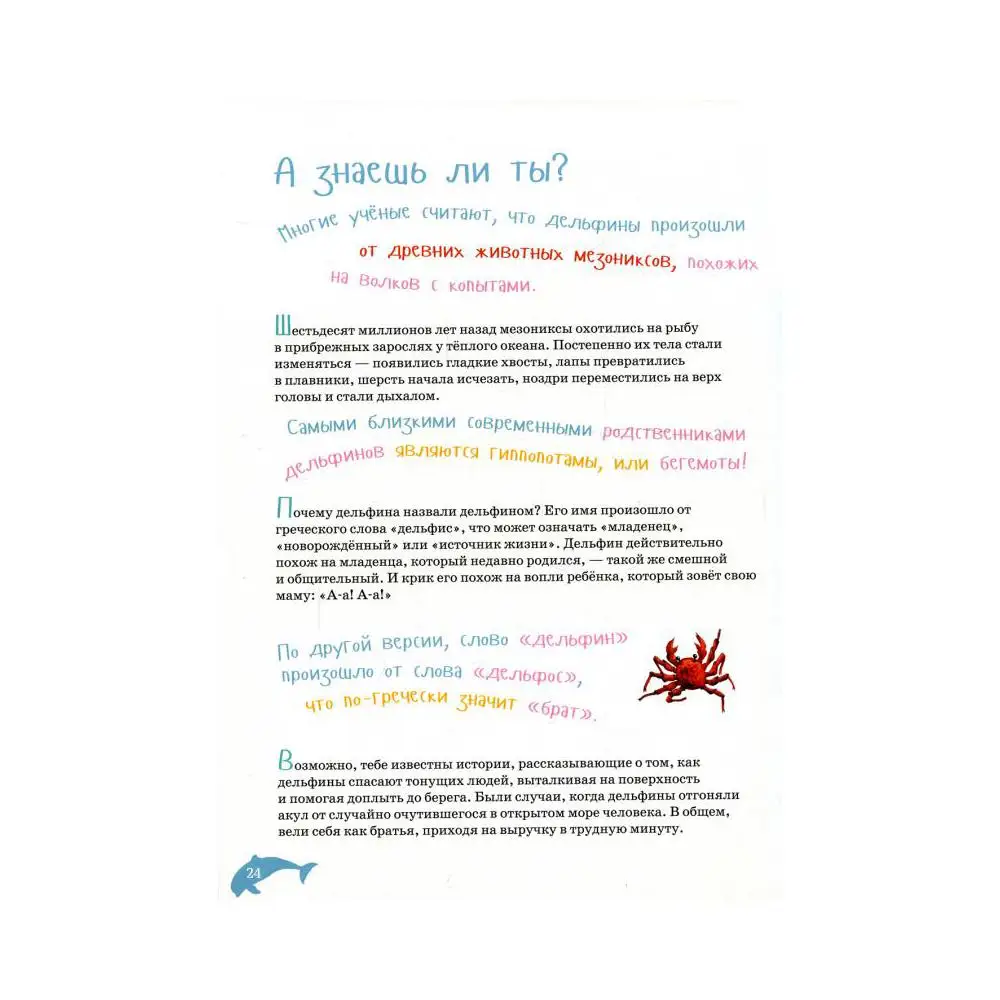 Jestem delfinem