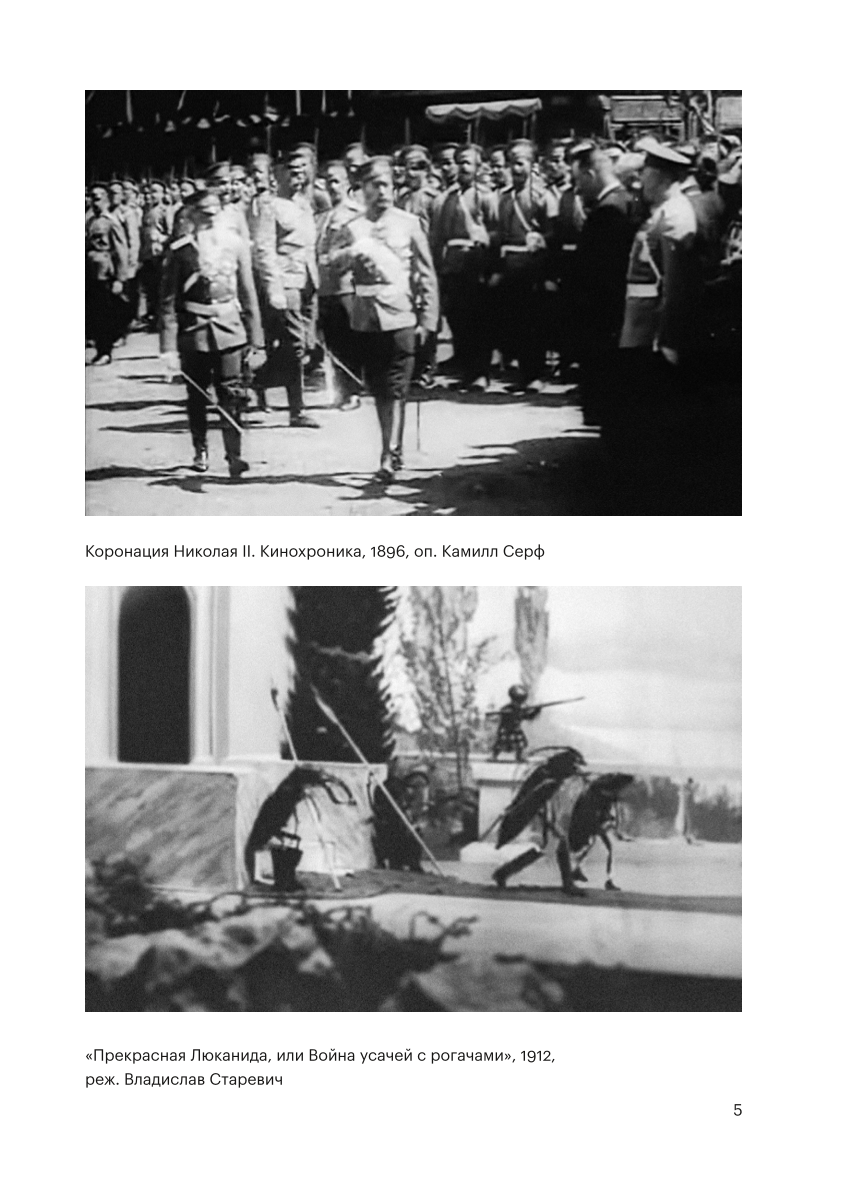 The History of Domestic Cinema