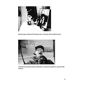 The History of Domestic Cinema