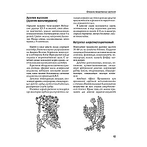 Encyclopedia of Folk Medicine and Naturopathy. Prevention and Treatment of Diseases with Folk Remedies at Home