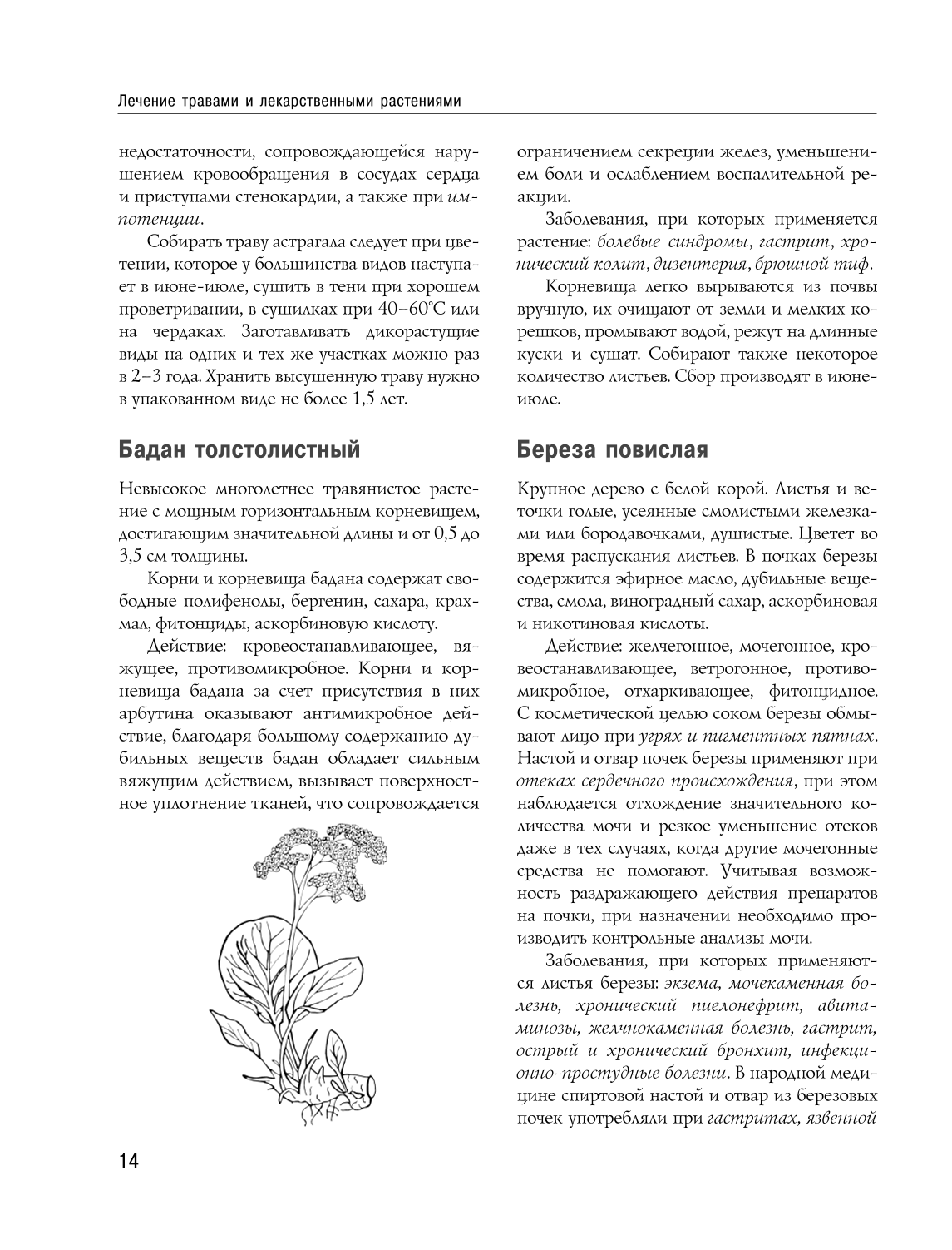 Encyclopedia of Folk Medicine and Naturopathy. Prevention and Treatment of Diseases with Folk Remedies at Home