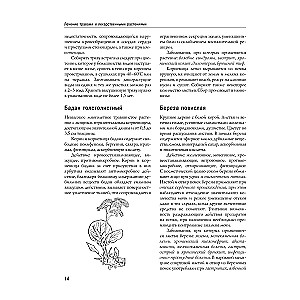 Encyclopedia of Folk Medicine and Naturopathy. Prevention and Treatment of Diseases with Folk Remedies at Home