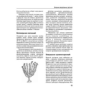 Encyclopedia of Folk Medicine and Naturopathy. Prevention and Treatment of Diseases with Folk Remedies at Home