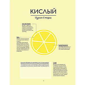 Soßen. Das große Lehrbuch. Kochen wie ein professioneller Koch
