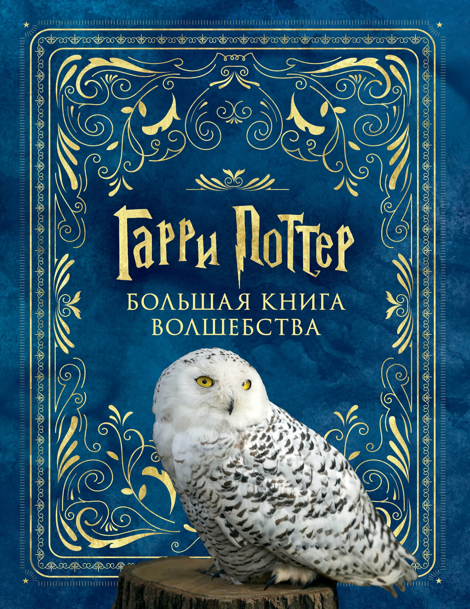 Harijs Poters. Lielā burvju grāmata