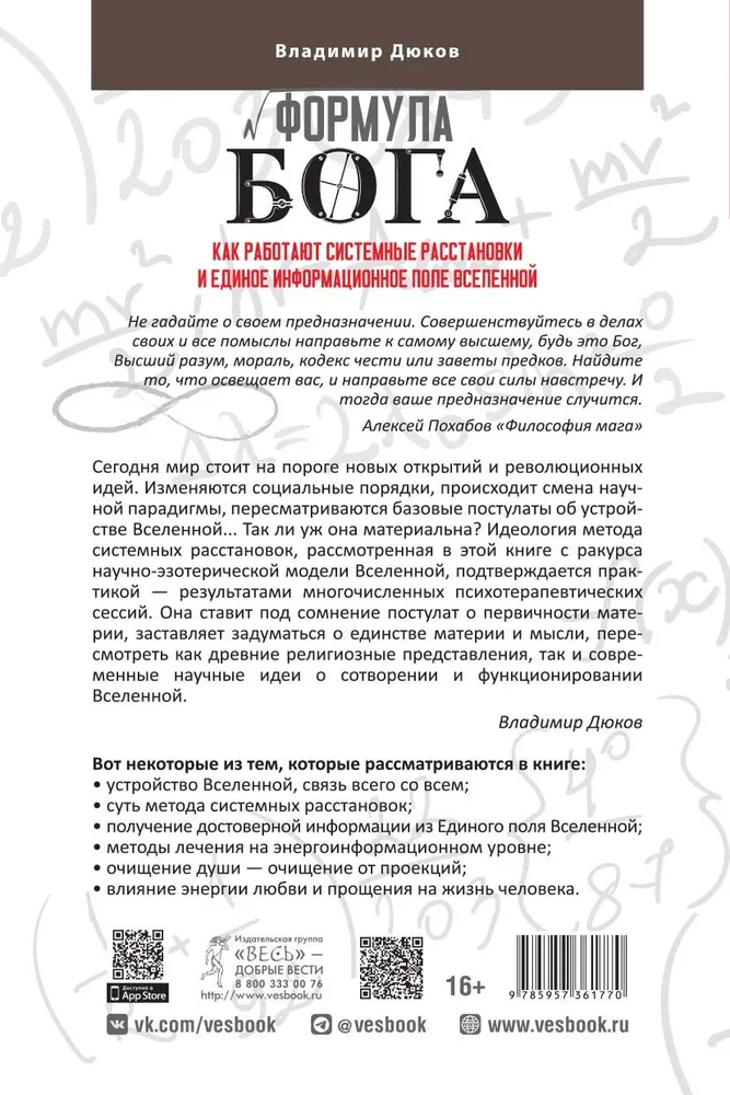 The Formula of God. How Systemic Constellations and the Unified Information Field of the Universe Work