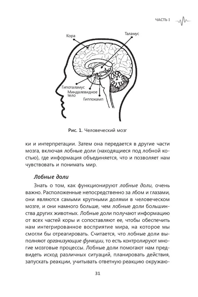 Rewire Your Anxious Brain