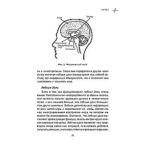 Rewire Your Anxious Brain