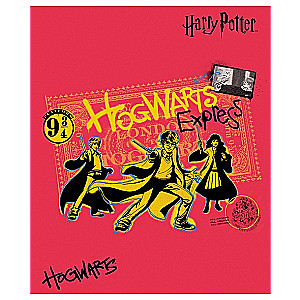 Notatnik Harry'ego Pottera (asortyment)