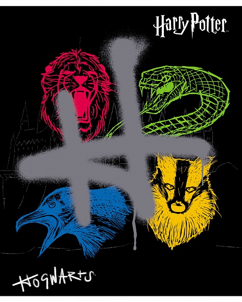 Notatnik Harry'ego Pottera (asortyment)