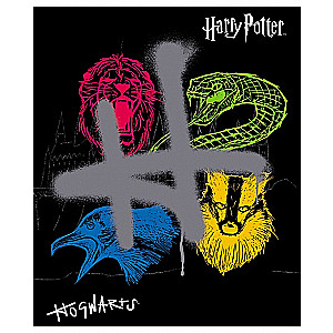 Notatnik Harry'ego Pottera (asortyment)
