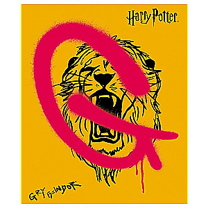 Notatnik Harry'ego Pottera (asortyment)
