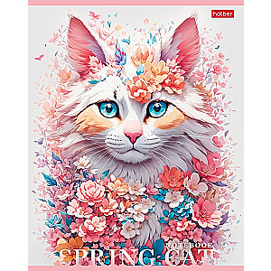 Notes Spring cat