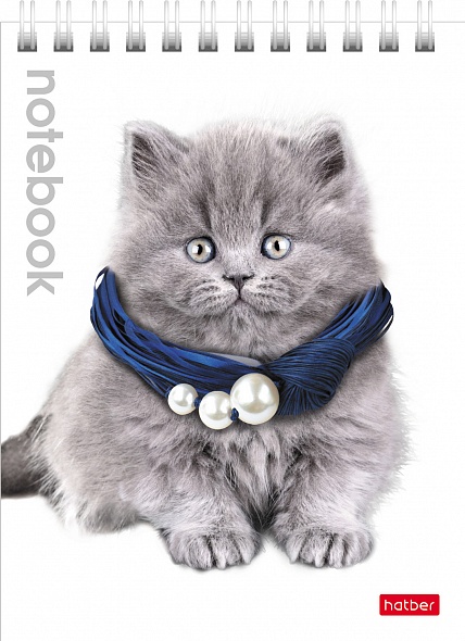 Notebook Cute Kittens