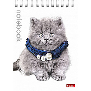 Notebook Cute Kittens