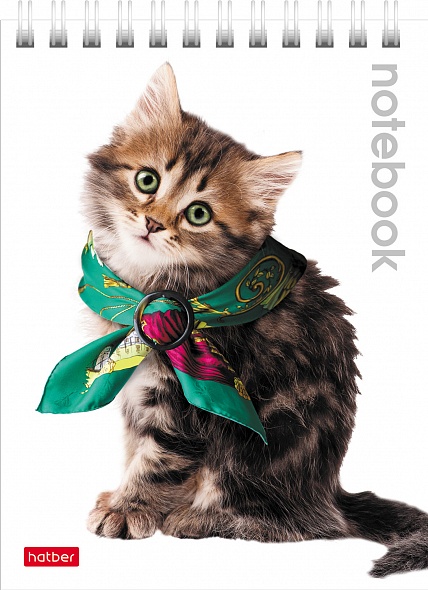 Notebook Cute Kittens