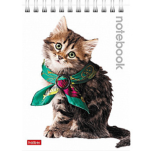 Notebook Cute Kittens
