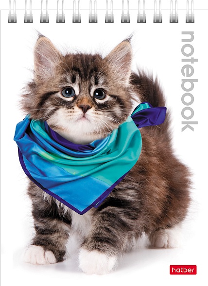 Notebook Cute Kittens