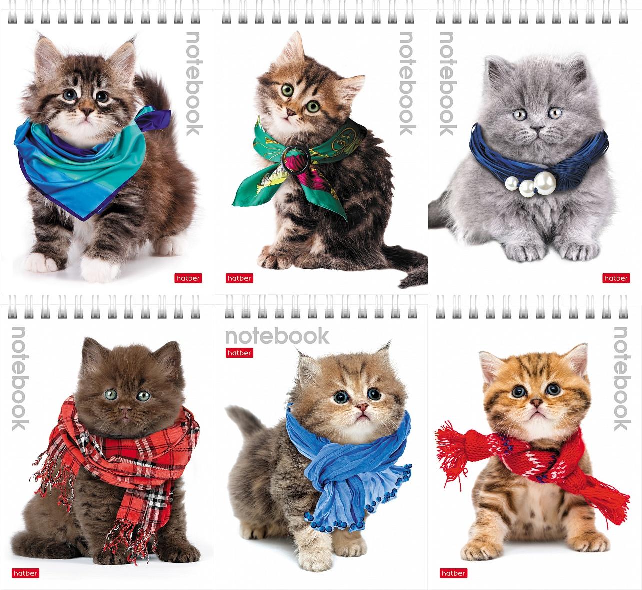 Notebook Cute Kittens