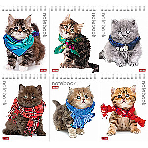 Notebook Cute Kittens