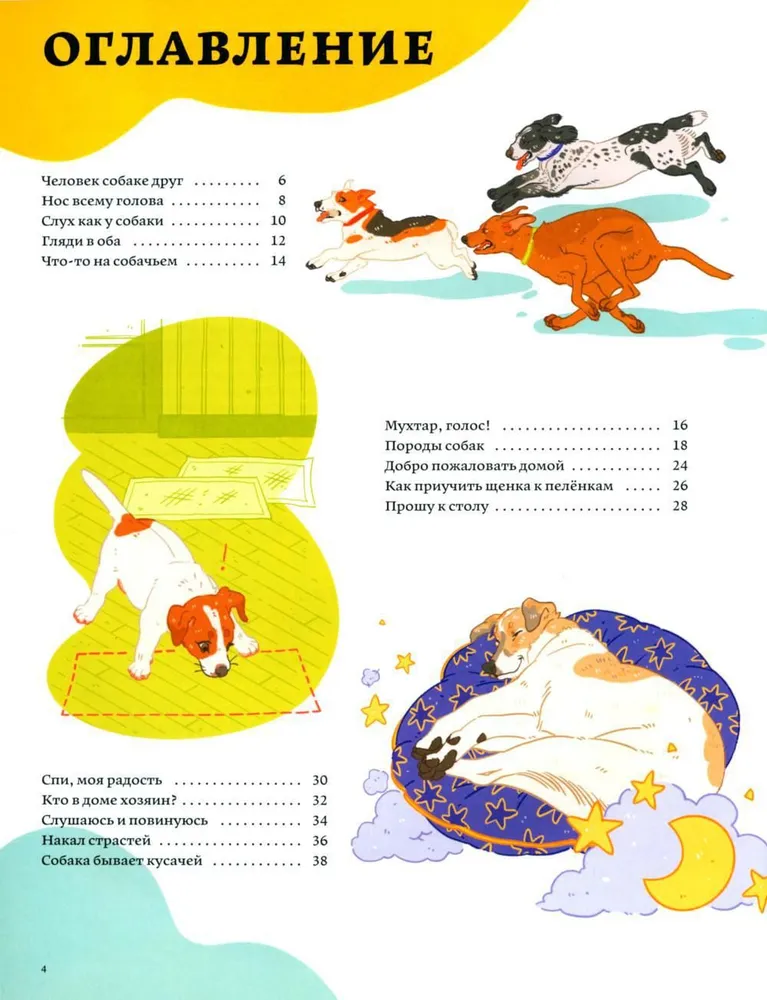 Šunų paslaptys. Kaip suprasti šunį ir tapti jo draugu