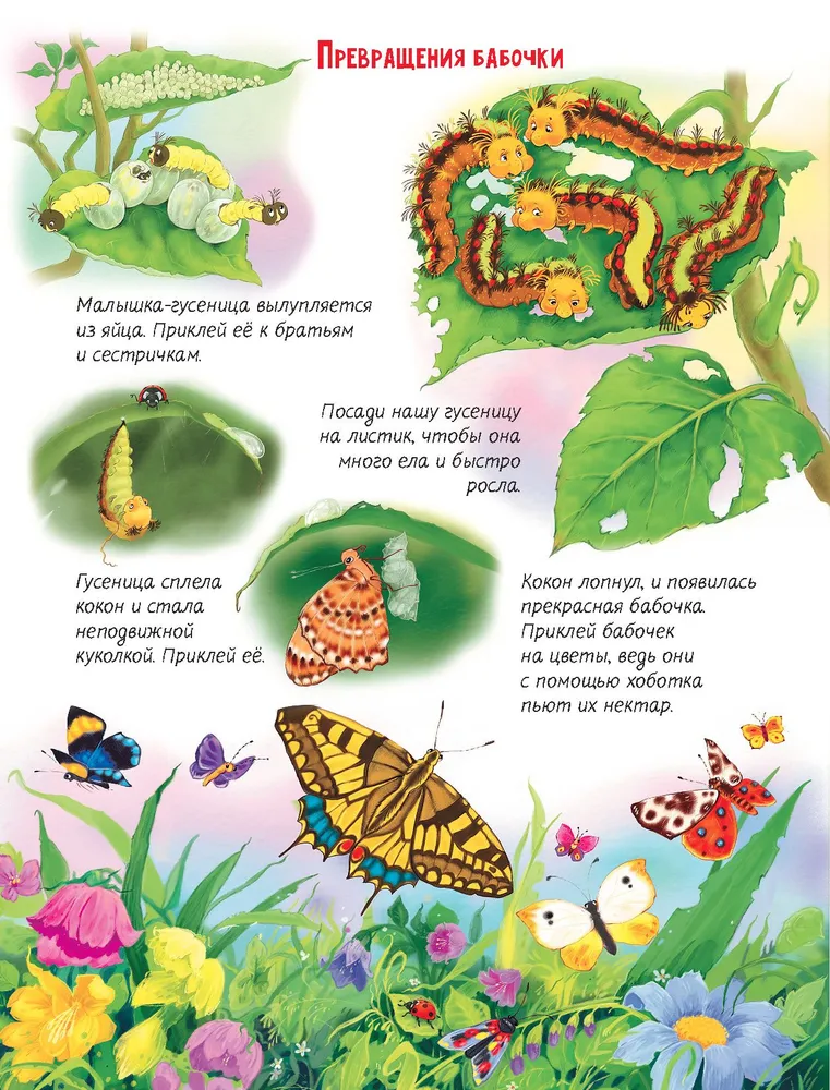 Darželis gyvūnams
