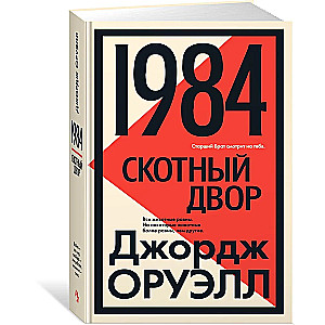 1984. Skuju māja