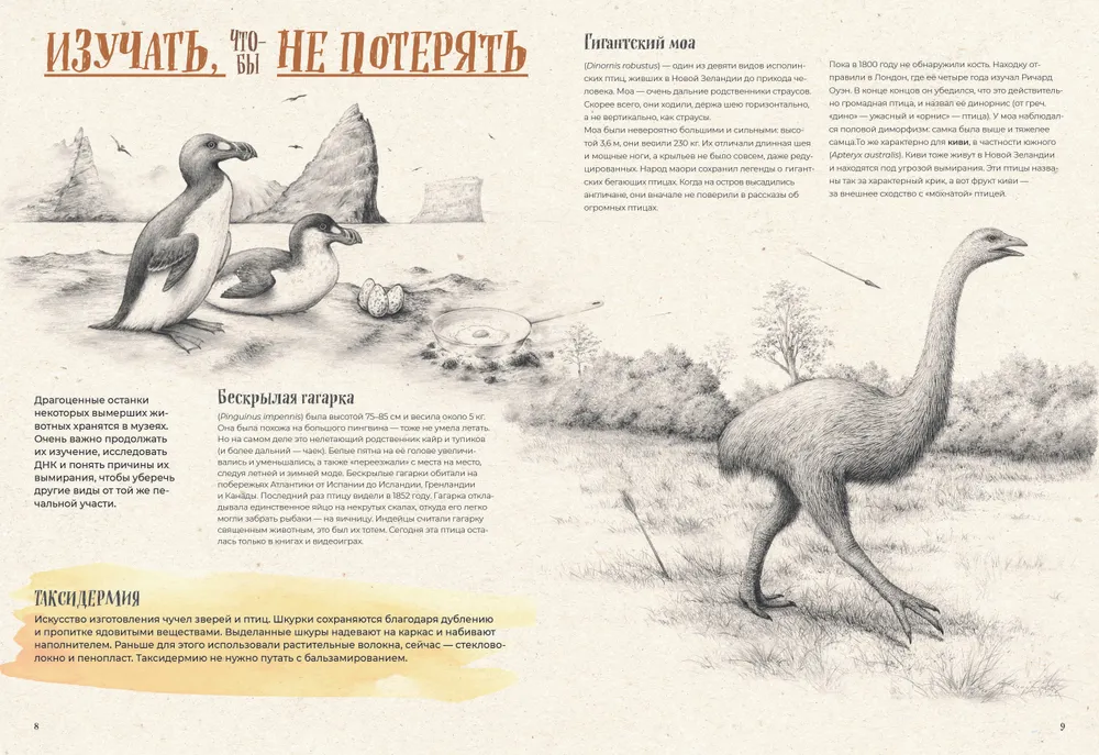 Ant išnykimo ribos. Žemės fauna