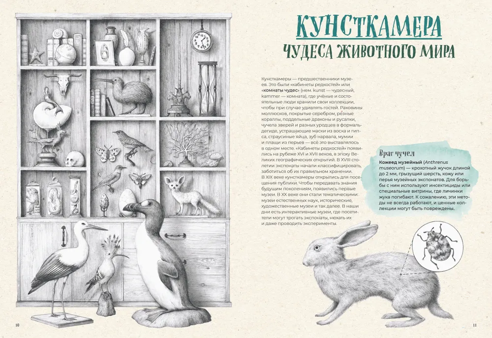 Ant išnykimo ribos. Žemės fauna