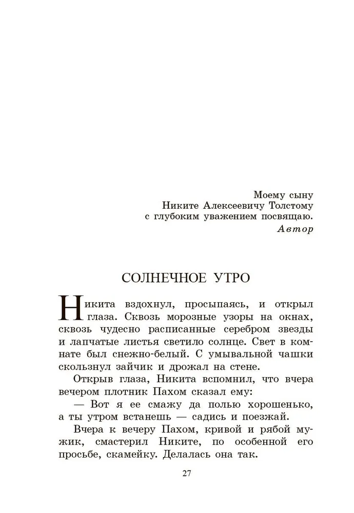 Nikita bērnība. Stāsts