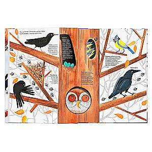 Tausendundein Vogel