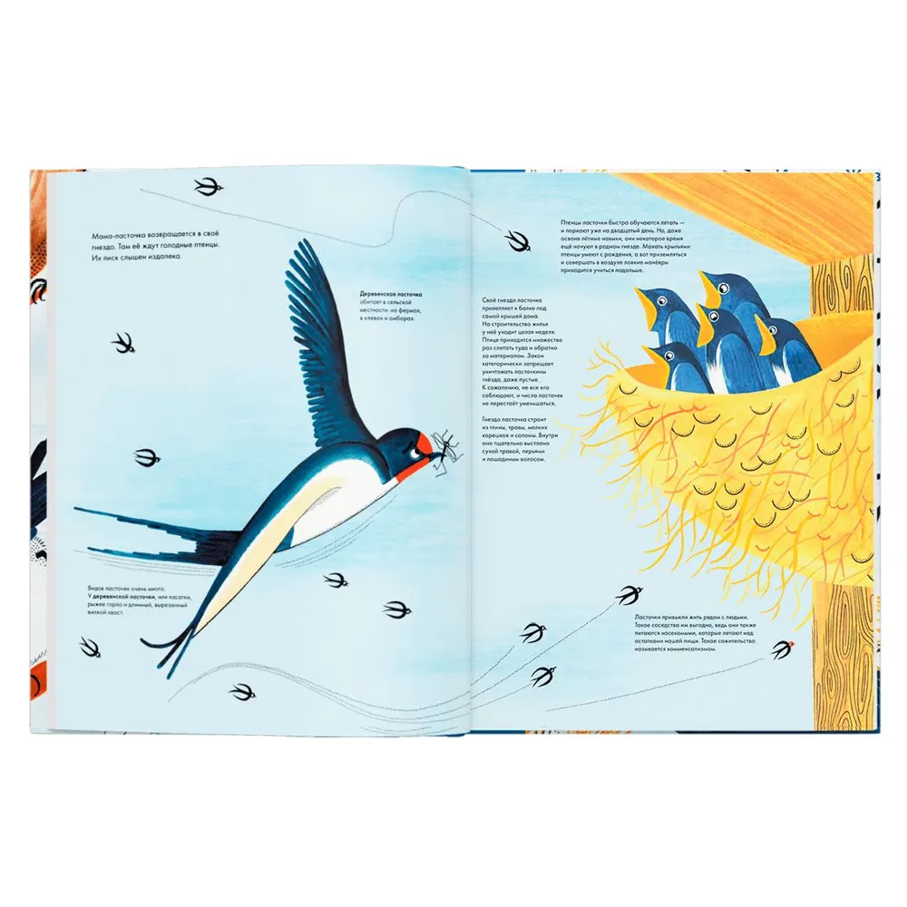 Tausendundein Vogel
