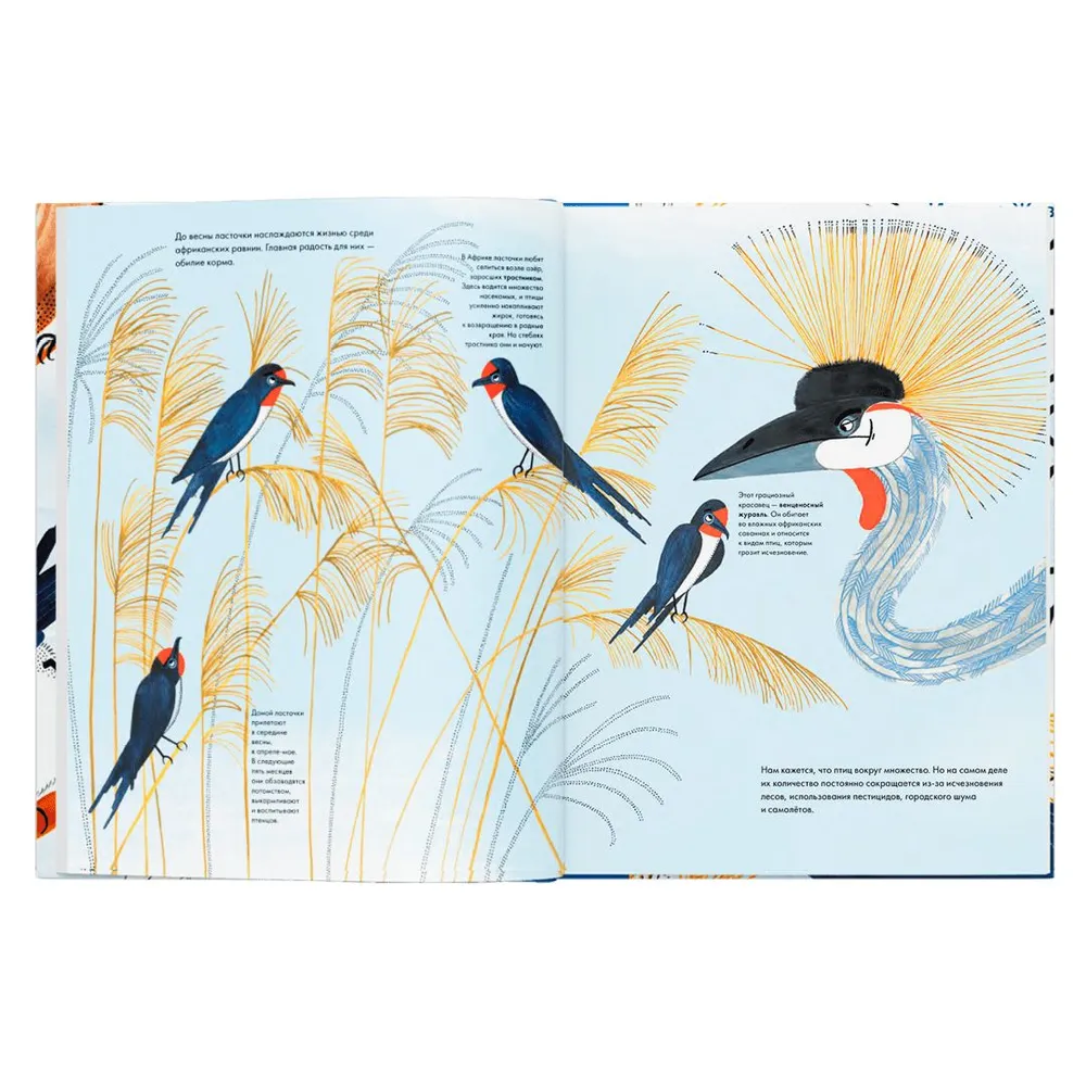 Tausendundein Vogel