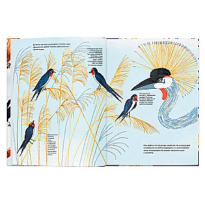 Tausendundein Vogel