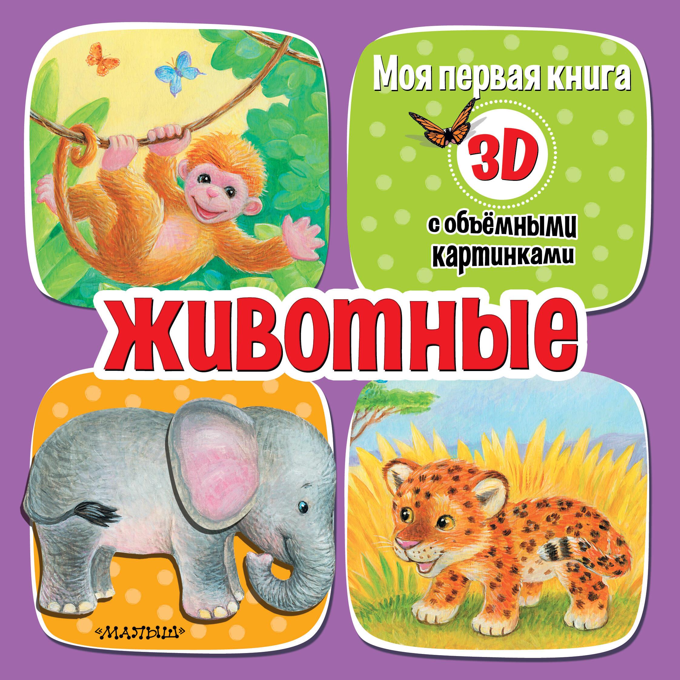 Gyvūnai