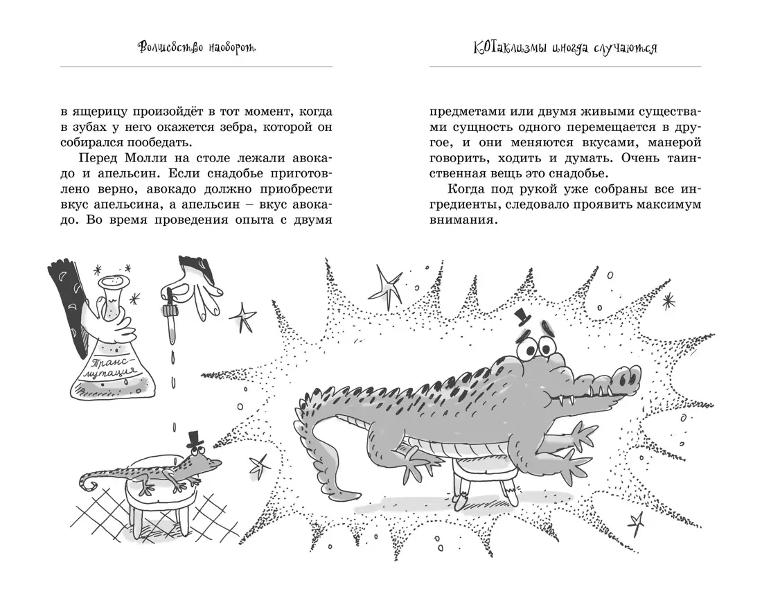 Raganos Molly katė. Magija atvirkščiai