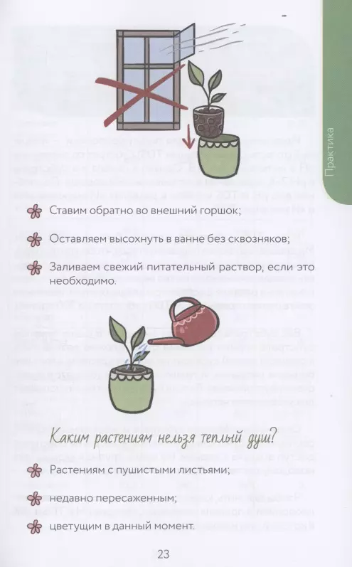Netipiškas floristas. Cheat lapų sekimo priemonė, skirta kambarinių augalų priežiūrai alternatyvioje dirvoje