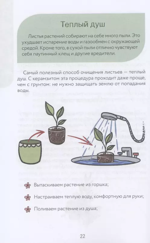 Netipiškas floristas. Cheat lapų sekimo priemonė, skirta kambarinių augalų priežiūrai alternatyvioje dirvoje