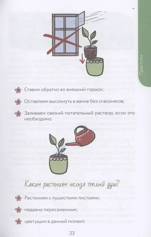 Netipiškas floristas. Cheat lapų sekimo priemonė, skirta kambarinių augalų priežiūrai alternatyvioje dirvoje