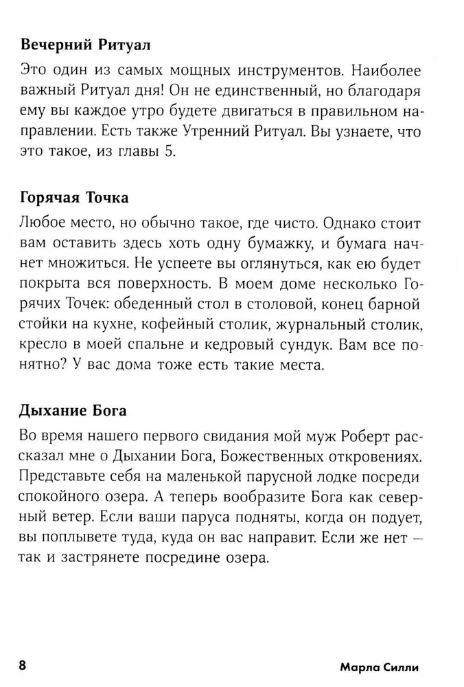 „FlyLady“ mokykla. Kaip įvesti tvarką savo namuose ir gyvenime